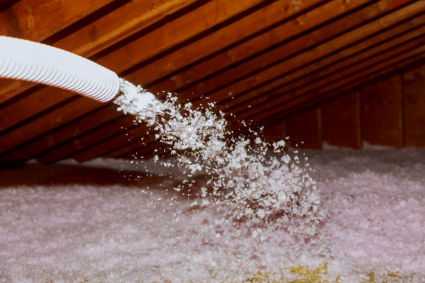 Best Specialized Insulation Services in Aberdeen, ID